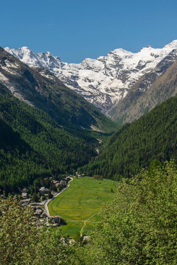 Nido Delle Aquile Apartamento Cogne Exterior foto