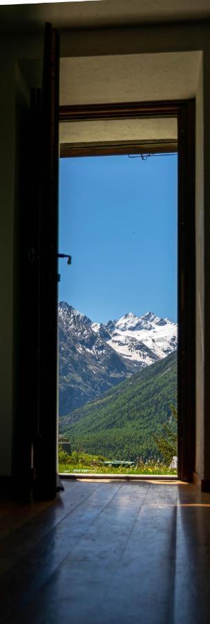 Nido Delle Aquile Apartamento Cogne Exterior foto